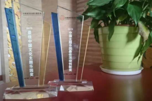 淹城春秋乐园荣获“摩天”奖两项大奖