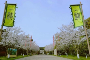 【惠至清明】淹城汉服季小高潮，又又又来啦！