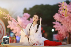 都是千年的狐狸 玩什么聊斋