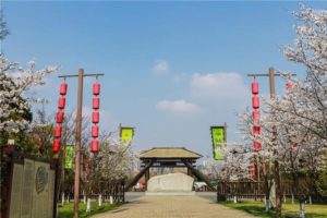 这个315我们一起 “云”游淹城，共赏春光！