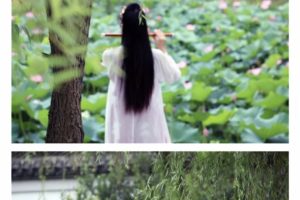 笑死我了，现在的猫姐儿都这么臭美的嘛！？