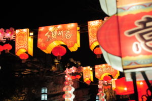 2020第十届淹城新春灯会