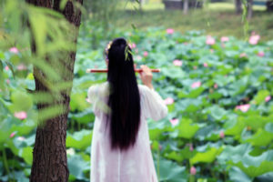 何以解忧，唯有这满池清荷！