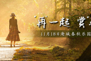 淹城春秋乐园、淹城遗址公园开园公告