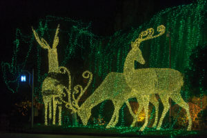 “文物贺新 光彩献岁 ” 淹城新春灯会迎“春光”沾“国光”