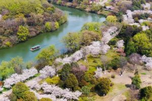 春秋淹城：以文化之源 筑思想之基