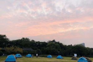 遗址森林清心露营节盛大启幕，5.16一起来露营