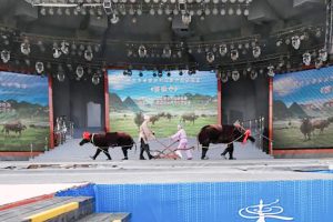 杨桥村委“调犟牛”主题党日活动