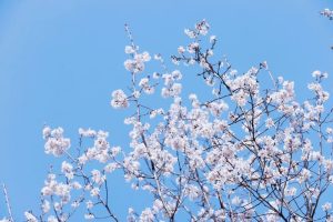 粉一粉，扭一扭，泡一泡！