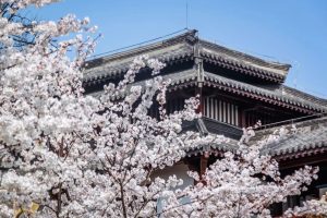 发生什么事了！9块9秒杀？