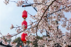 淹城春游季 四大活动惊艳春天