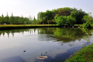 拜师石、洗砚池