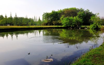 拜师石、洗砚池