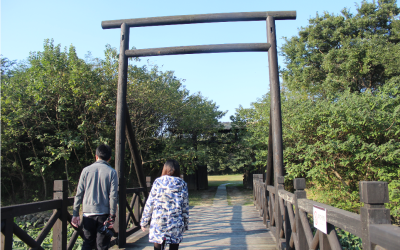 湿地、子城